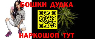 крисы Сланцы