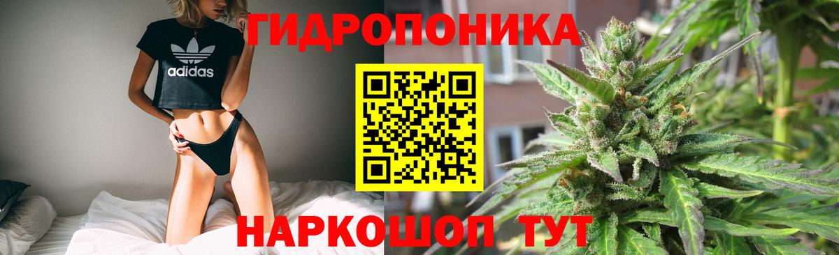 Бошки Шишки ГИДРОПОН Прокопьевск